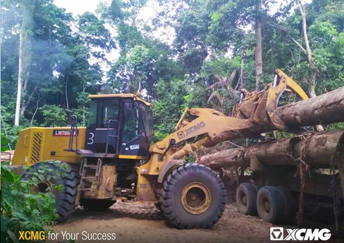 LW700KN Wood Loader