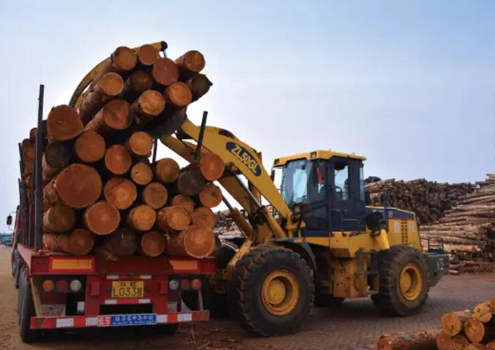 ZL50G Wood Loader